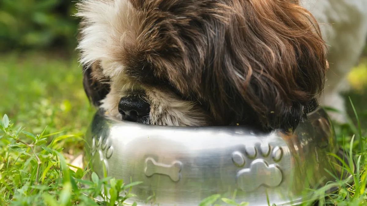 Perro joven comiendo de un cuenco de metal