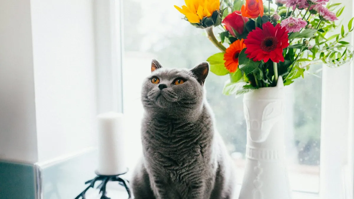 Gato junto a un jarrón con flores