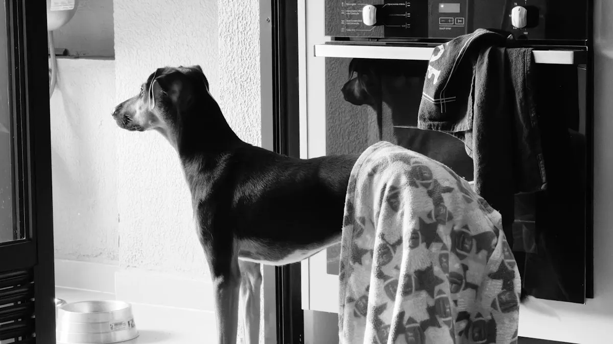 Perro en la cocina junto a la nevera