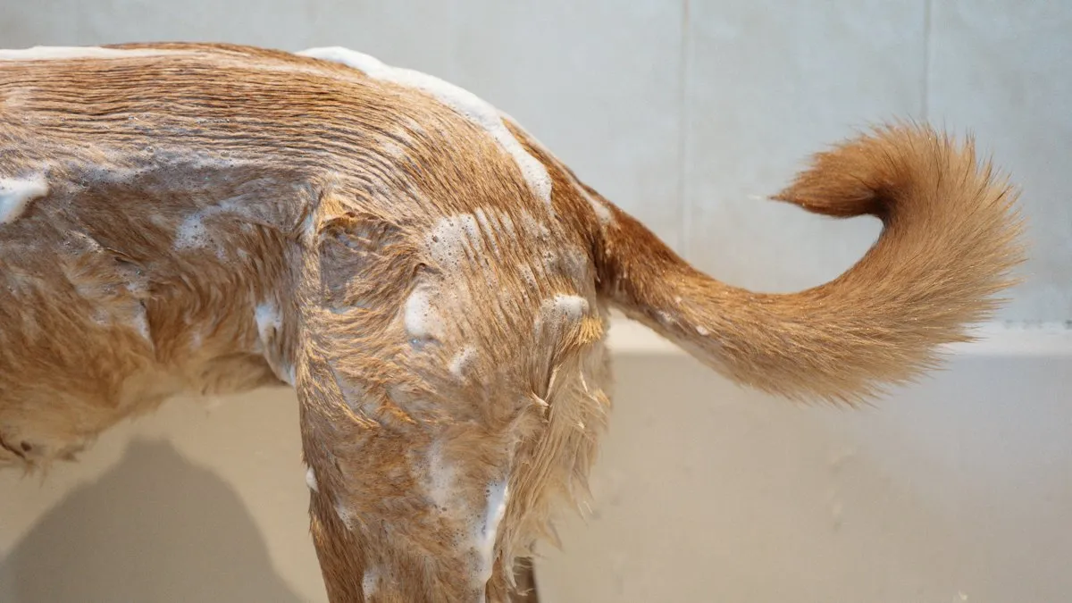 Perro enjabonado junto a la bañera
