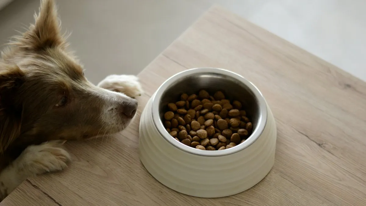 Perro comiendo de su cuenco
