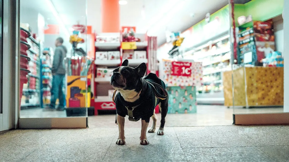 Perro paseando frente a una tienda