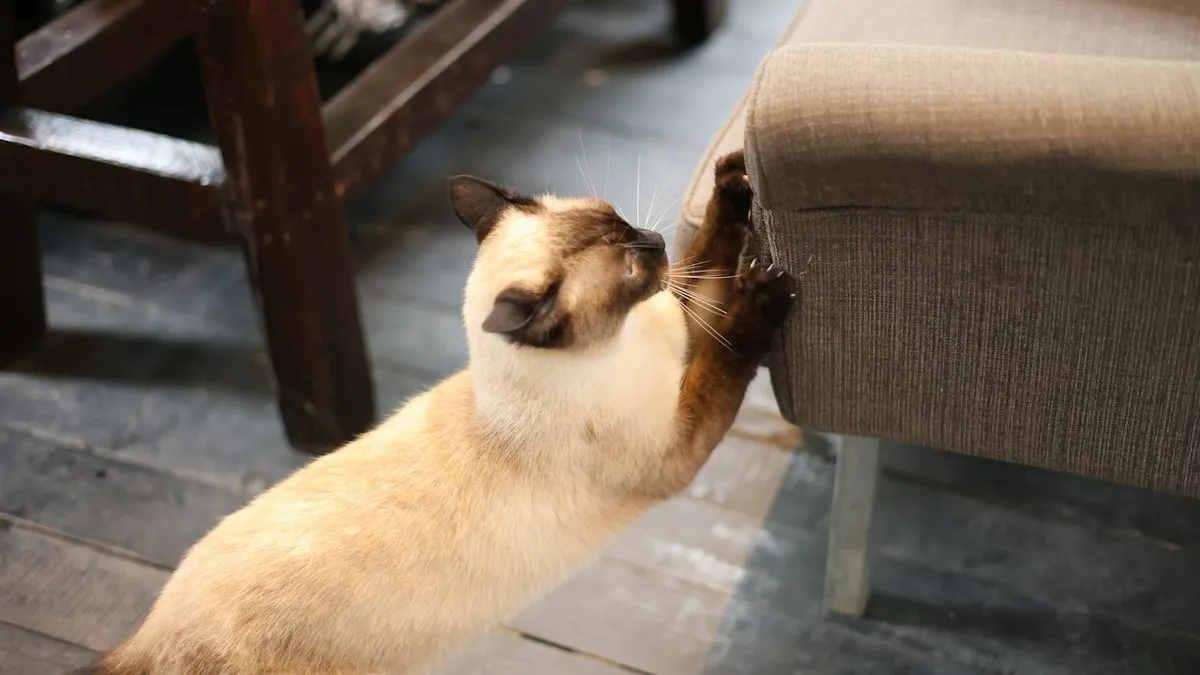 Gato siamés arañando la pata de un mueble