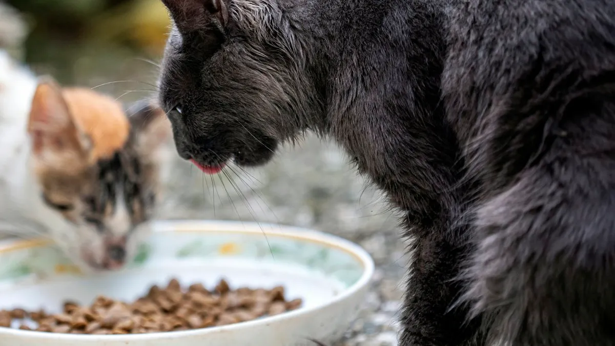 Gatos comiendo de sus cuencos