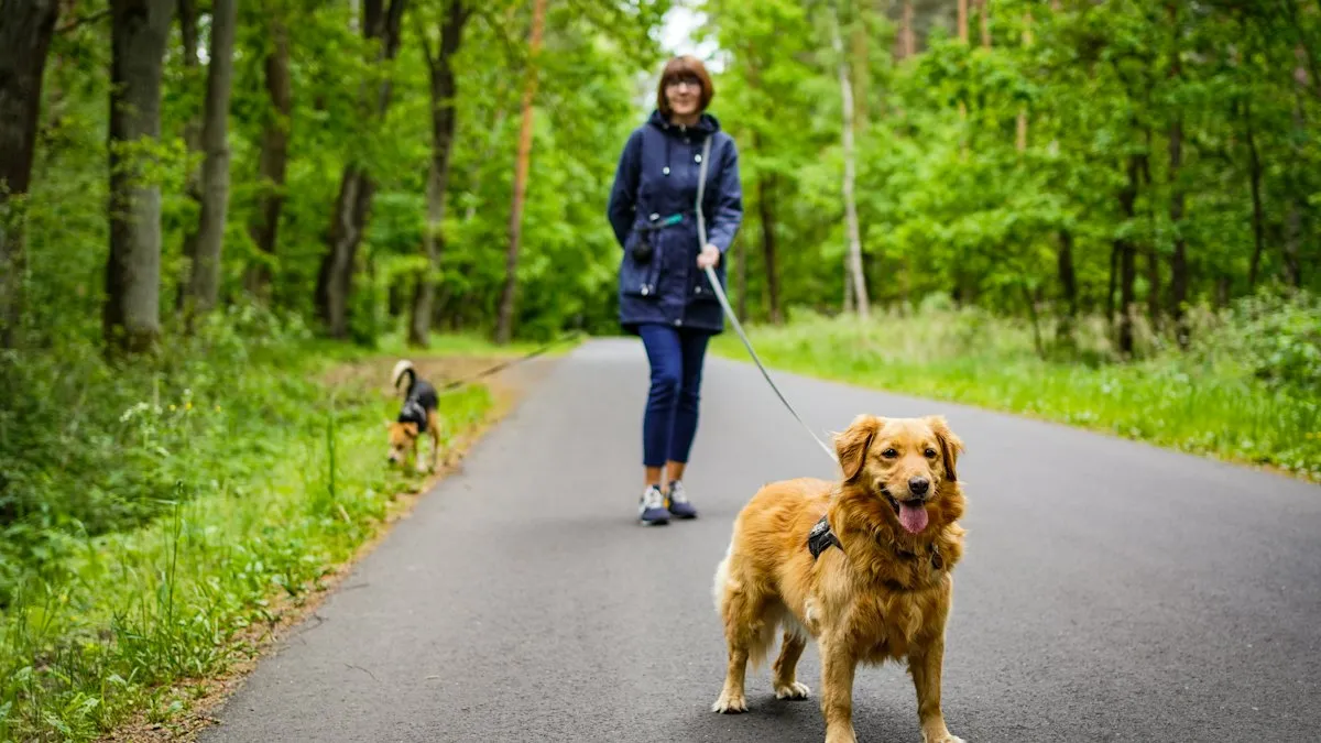 Persona paseando a su perro con correa por un camino