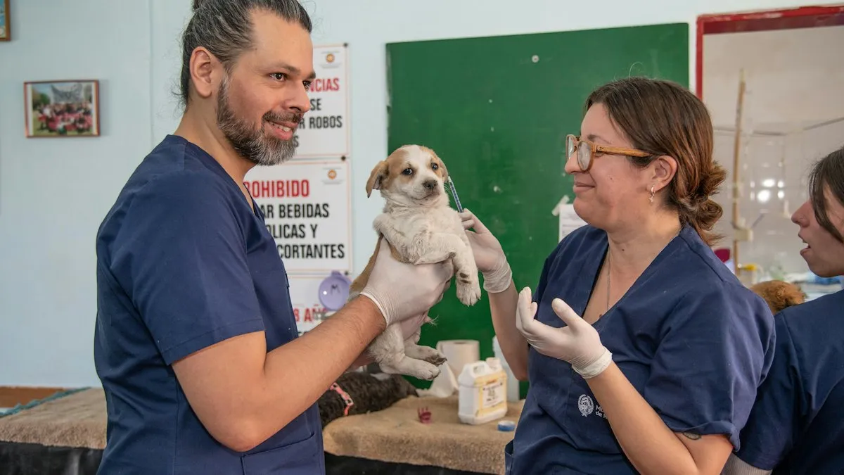 Persona sosteniendo a un perro pequeño en una consulta