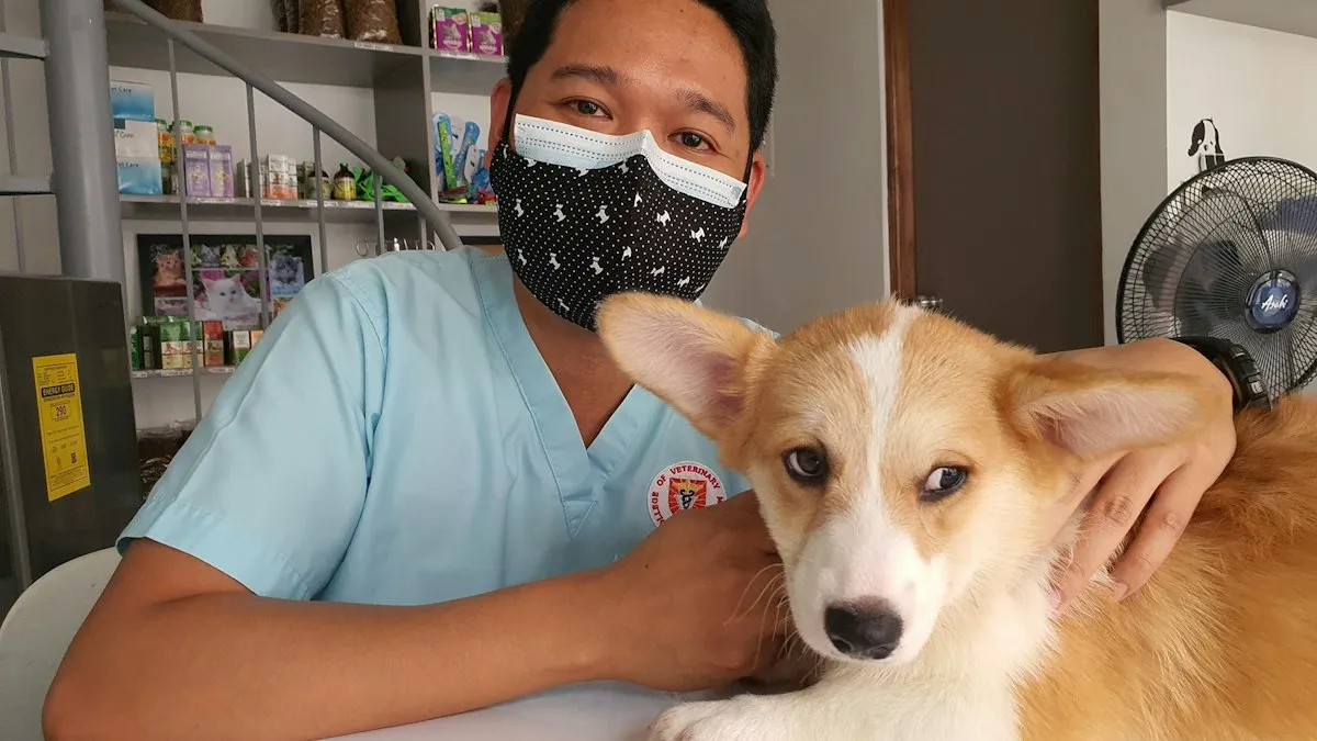 Veterinario con un perro en la consulta